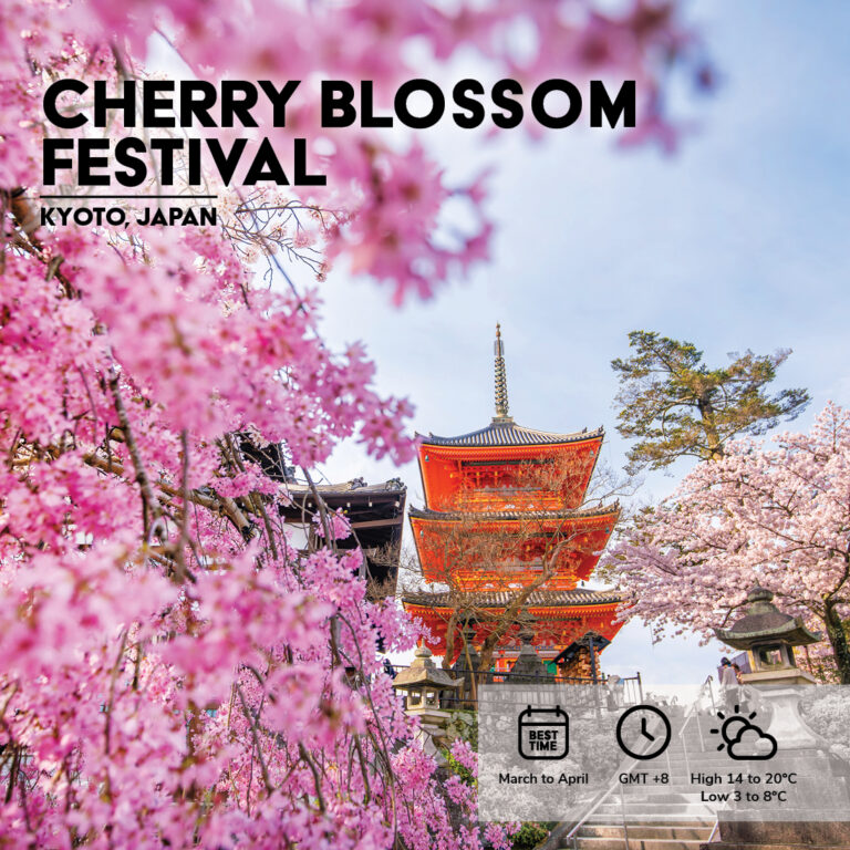 Cherry Blossom Social Tile - TTNG Marketing